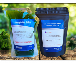200ml Live Spirulina Starter Culture - Raw, Fresh Spirulina