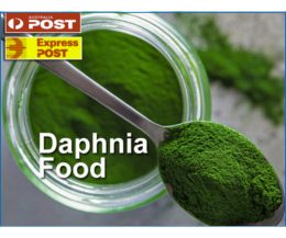 Food for Daphnia