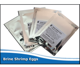 Artemia Cysts / Brine Shrimp Eggs - Pre Measured