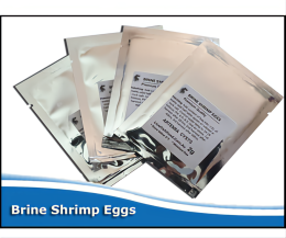 Artemia Cysts / Brine Shrimp Eggs - Pre Measured