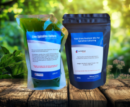 Live Spirulina Culture